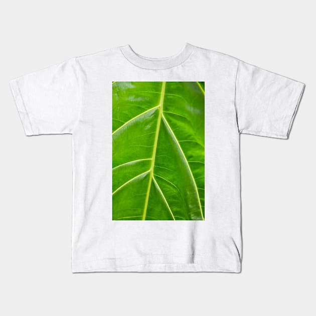 Tributaries Kids T-Shirt by thadz